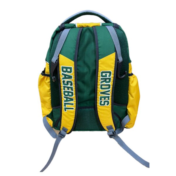 baseball bag back