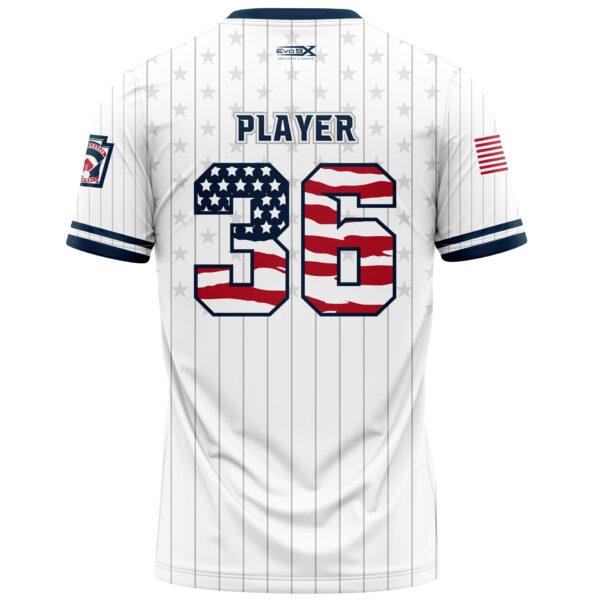 Fastpitch 2 Button Jersey back