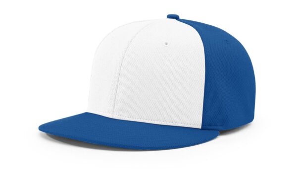 Fastpitch PTS 40 Hats