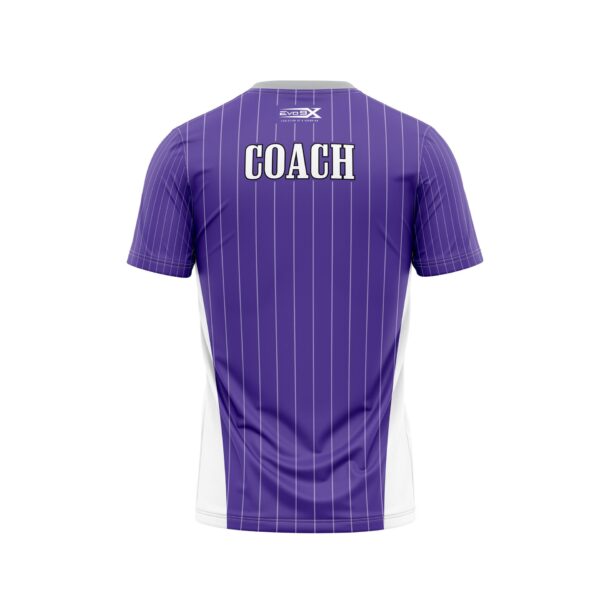 Baseball Crew Neck Jersey back