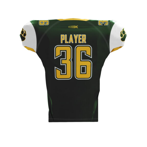 Football Team Jersey back